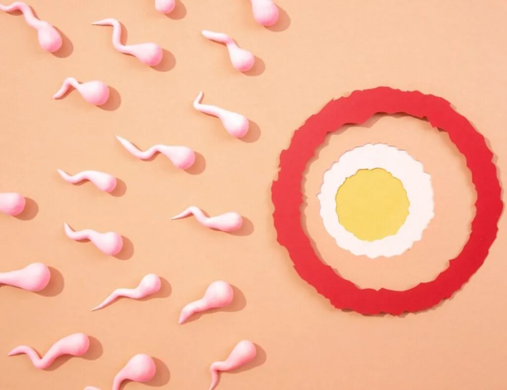 The Science Behind Sperm and Skin Care