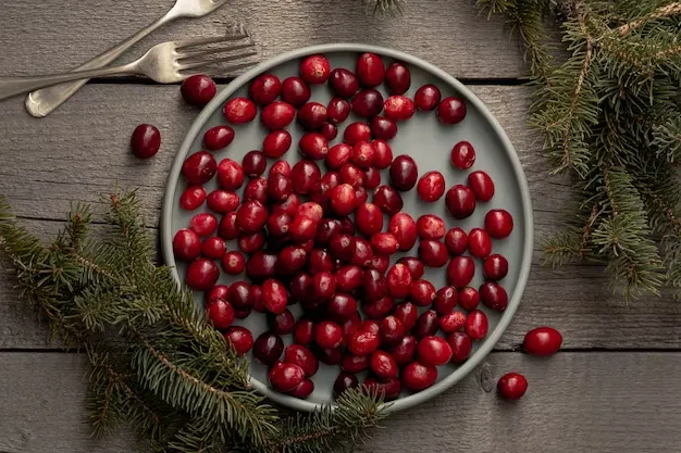 cranberries in a grey circular plate.