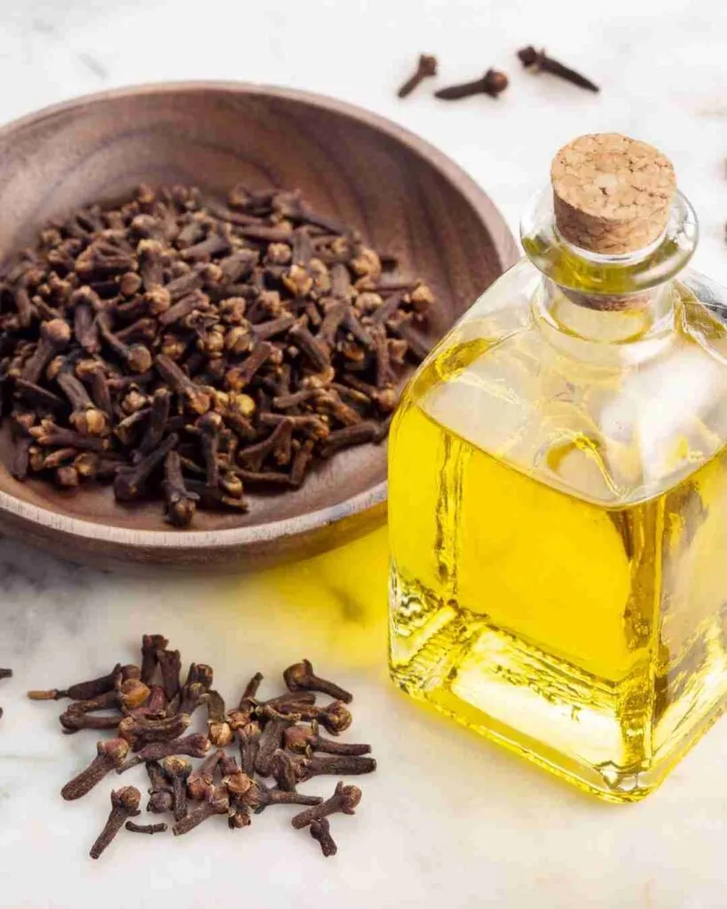 What Are the Benefits of Cloves