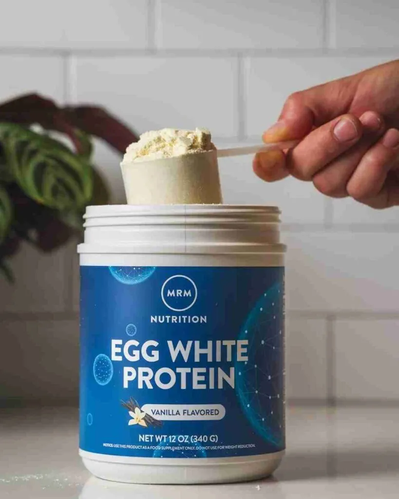egg protein powder benefits