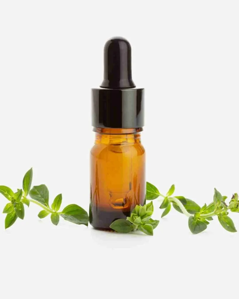what are the health benefits of oil of oregano