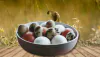 Quail Eggs vs Chicken Eggs: Which One Is Better?