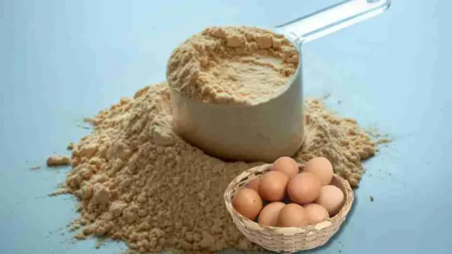 Egg Protein Powder: Benefits, Uses, Best Brands & Whey Comparison
