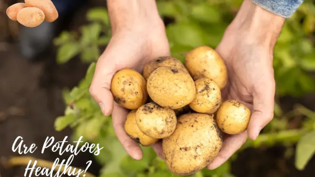 Are Potatoes Healthy? Nutrition, Benefits & Best Ways to Eat