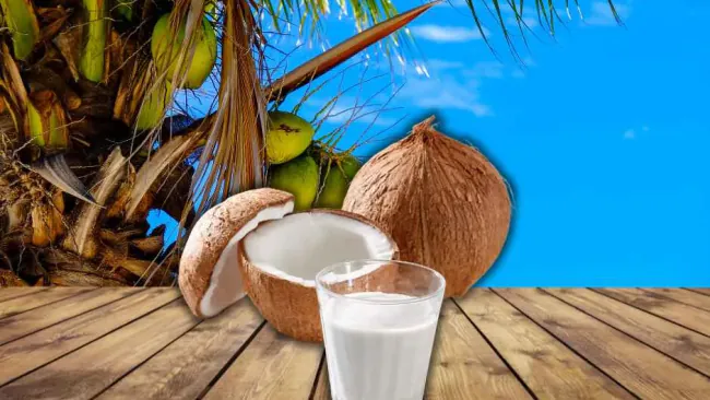What Is Coconut Water? A Complete Beginner’s Guide