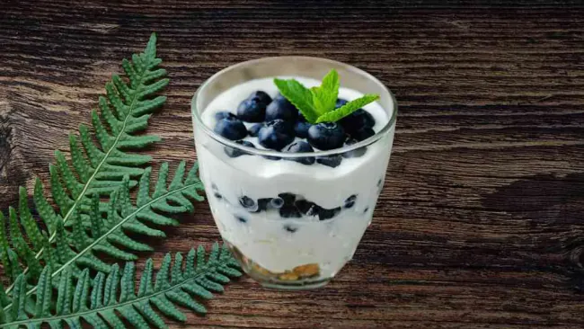 Is Greek Yogurt Good for Weight Loss? Benefits and Tips Explained