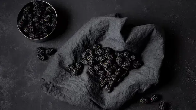 Are Blackberries Healthy? A Comprehensive Look