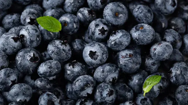 Are Blueberries Healthy? A Comprehensive Guide to Their Benefits