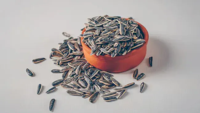 Are Sunflower Seeds Healthy? Exploring Their Nutritional Benefits