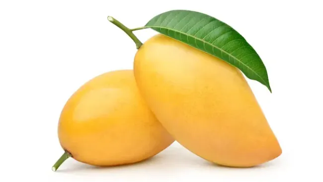 Does Mango Contain Sugar? A Detailed Guide