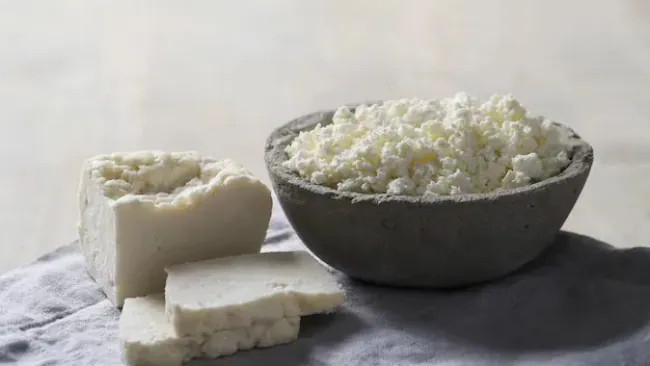Does Cottage Cheese Have Protein?