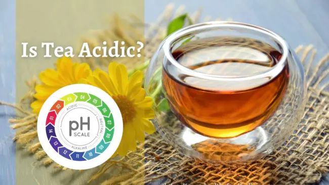Is Tea Acidic or Alkaline? Unlock The Truth