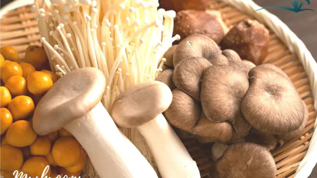 Are Mushrooms Healthy?