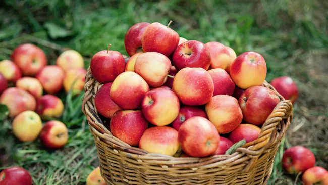 Are Apples Acidic and Good for Acid Reflux? [pH-wise]