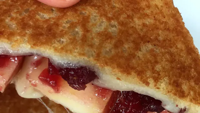 Monday Musings + Raspberry Grilled Cheese