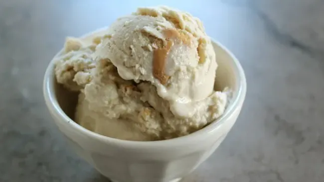 Maple Cookie Frozen Yogurt