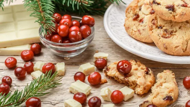 Cranberry & White Chocolate Chip Oaties