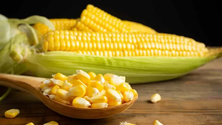 Is Cornstarch Gluten-Free? What People with Celiac Disease Need to Know