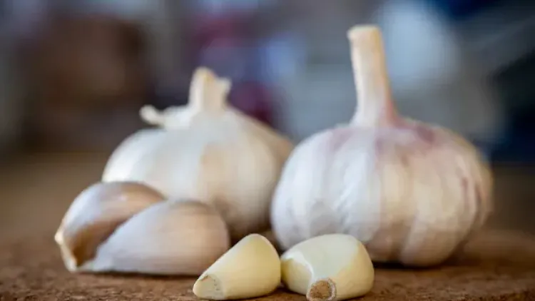 Is Garlic a Vegetable? A Comprehensive Guide