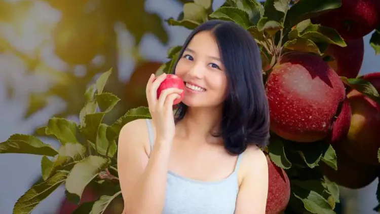 How Many Carbs in an Apple? Complete Nutrition Guide