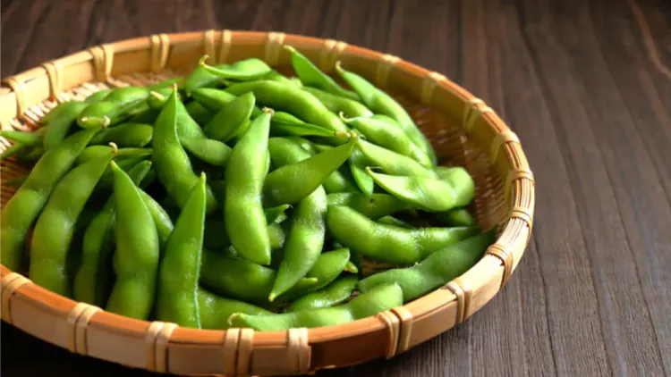 Are Edamame Healthy? – Everything You Need to Know