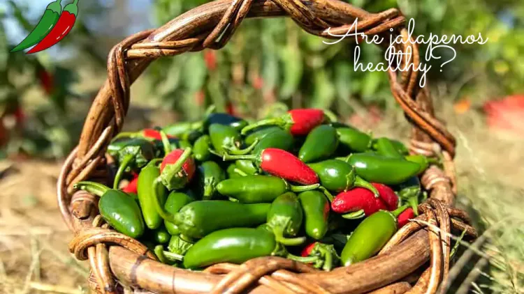 Are jalapenos healthy?