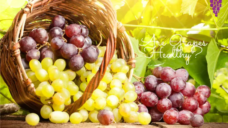 Are Grapes Healthy?