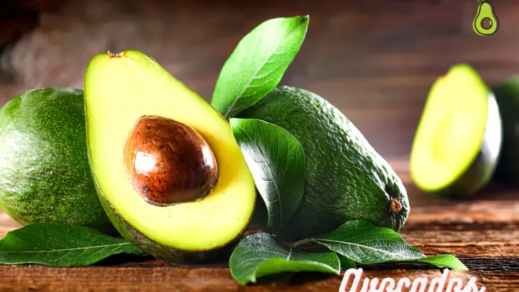 Are Avocados Healthy?- All You Need to Know About Avocados