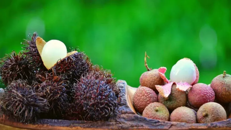 Rambutan vs Lychee: What’s the Difference?