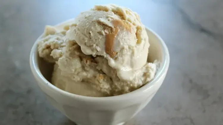 Maple Cookie Frozen Yogurt