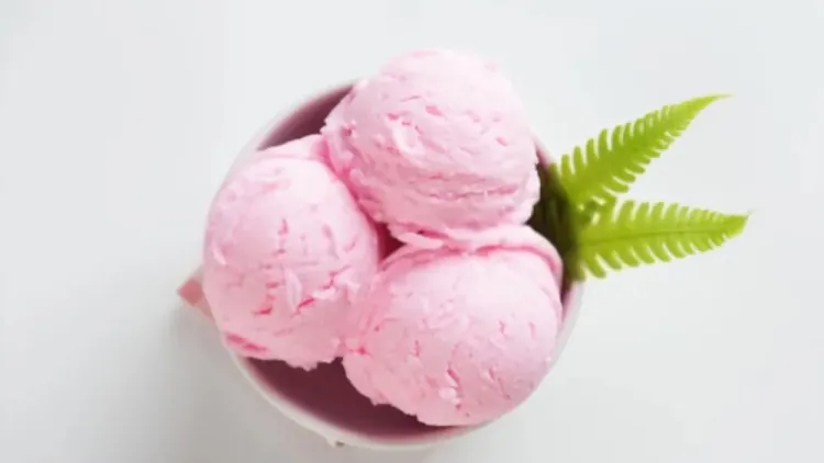 Cranberry Frozen Yogurt