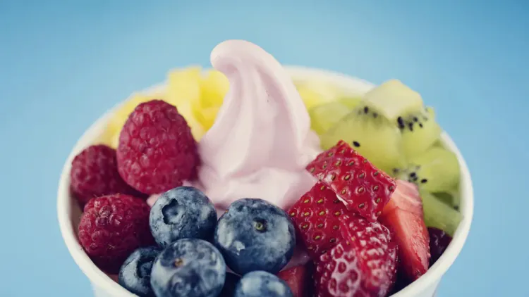 Blueberry-Vanilla Frozen Yogurt