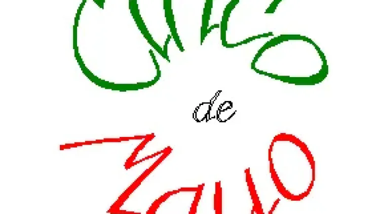 Cinco de Mayo Menu Planning