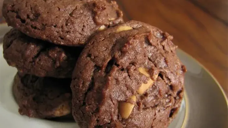 Flourless Dark Chocolate Peanut Butter Cookies