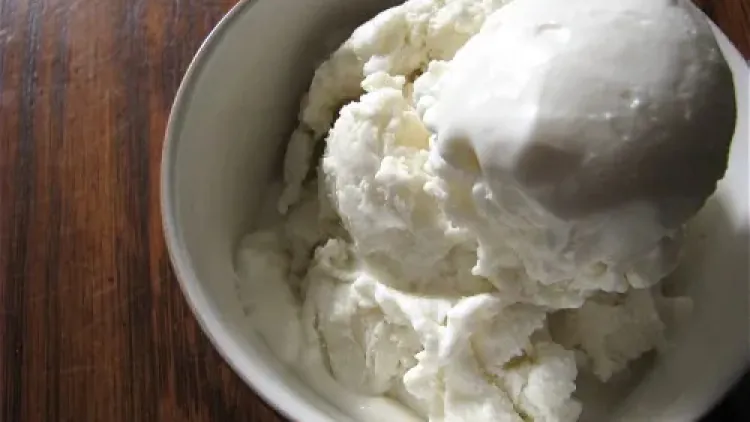 Tart Vanilla Frozen Yogurt