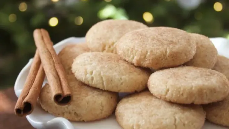 Paleo & Vegan Snickerdoodles