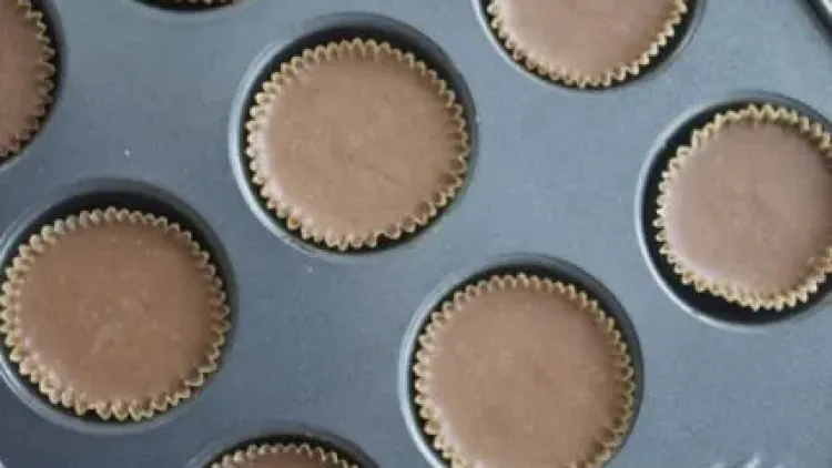 Almond Joy Fudge Bites